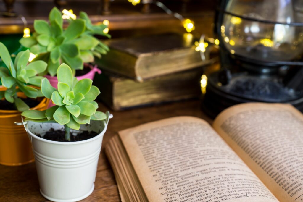Bijoux de Crussol old open book with an oil lamp and small plants on dakr wooden c